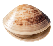 873599737