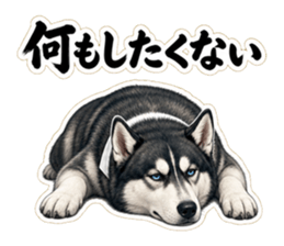 何もしたくない日に送りたいLINEスタンプ｜何もしたくないハスキー先輩のサムネイル