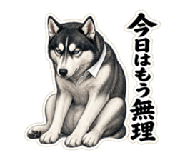 今日はもう無理と伝えるハスキー先輩