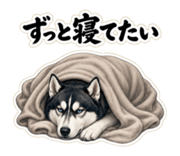 ずっと寝てたいと伝えるハスキー先輩