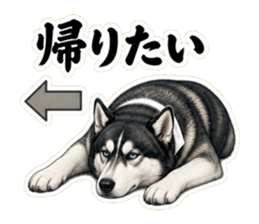 帰りたいと伝えるハスキー先輩