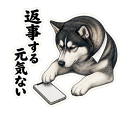 返事する元気ないと伝えるハスキー先輩