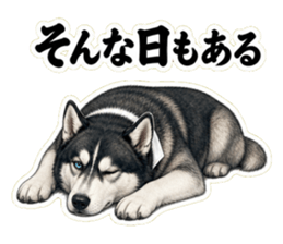 そんな日もあると寄り添うハスキー先輩