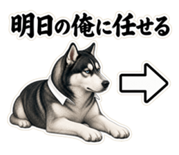 明日の俺に任せると先延ばしするハスキー先輩