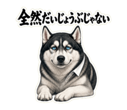 全然だいじょうぶじゃないと伝えるハスキー先輩