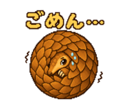 873657205