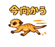 873657219