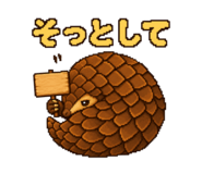 873657220
