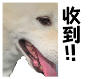 873674816