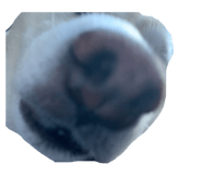 873674824