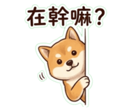 873682395