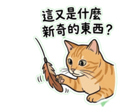 873682401