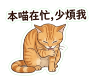 873682405