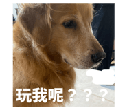873698028