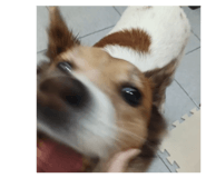 873727681
