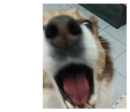 873727683