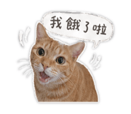 873770717
