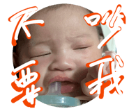 873776008