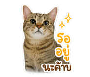 873843821