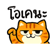 873843825