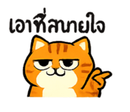873843828