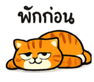 873843831