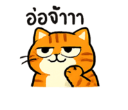 873843832