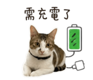 873848741