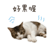 873848744
