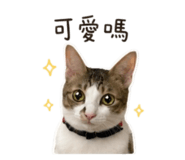 873848746