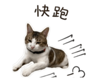 873848750