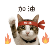 873848760