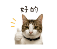 873848761
