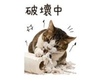 873848775