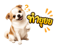 873864197