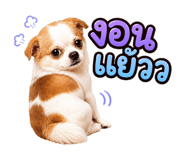 873864200