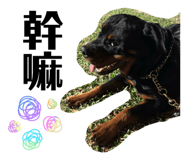 873874755
