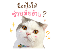 873881052