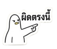 873920053