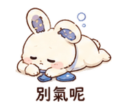 873955571
