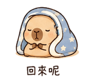 873958521