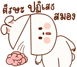 แฮปปี้ เป็น กระต่าย รูปที่ 18