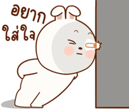 แฮปปี้ เป็น กระต่าย รูปที่ 20