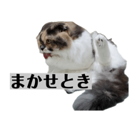 873972487