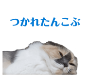 873972489