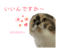873972491