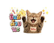 873997438