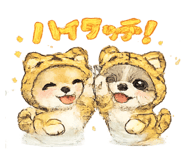 873998277
