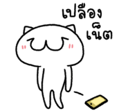 874003293