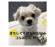 874008948